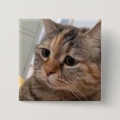 Schaltfläche "Cats Meme"-Button Button (Vorderseite)