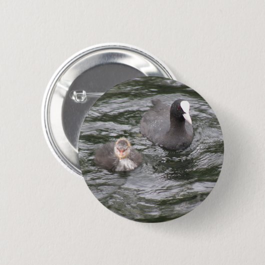 Schaltfläche Coot und Chick Button (Vorne & Hinten)