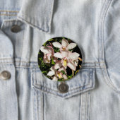 Schaltfläche Cymbidium Orchio Button (Beispiel)