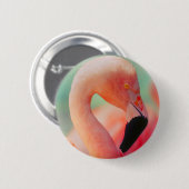 Schaltfläche "Exotic Pink Flamingo Bird" Button (Vorne & Hinten)