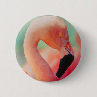 Schaltfläche "Exotic Pink Flamingo Bird"