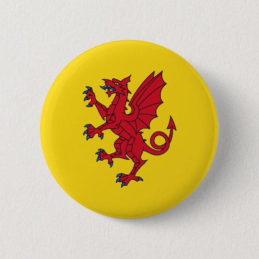 Schaltfläche "Flag" für Somerset-Pinback Button (Vorderseite)