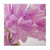 Schaltfläche Fliese (Vorderseite)