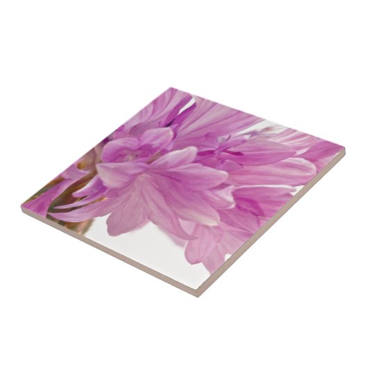 Schaltfläche Fliese (Seite)