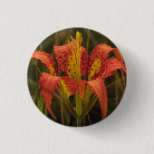 Schaltfläche "Florida Lily" Button (Vorderseite)