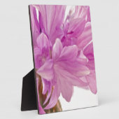 Schaltfläche Fotoplatte (Seite)