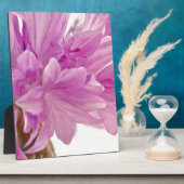 Schaltfläche Fotoplatte (Seite)