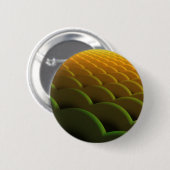 Schaltfläche Fraktal-Skalierung Button (Vorne & Hinten)