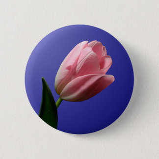Schaltfläche Frühjahrssehen Button