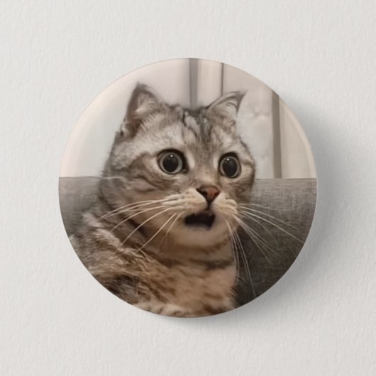 Schaltfläche für das Button "Cat Meme" (Vorderseite)