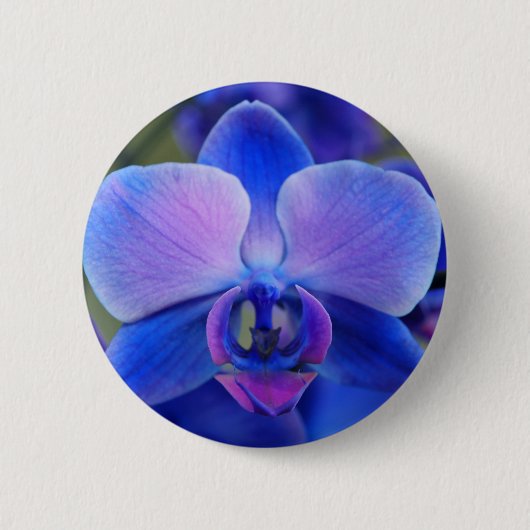 Schaltfläche für das orchid-Button in Blau und Ros Button (Vorderseite)