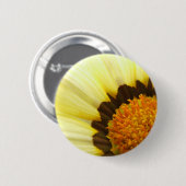 Schaltfläche für die Blume von Gazania Button (Vorne & Hinten)