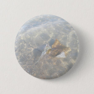 Schaltfläche für die Cownose-OBX-Serie Button