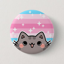 Schaltfläche für die Feminine LGBT-Flag-Katze