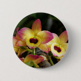 Schaltfläche für lebendiges Orchid-Button Button