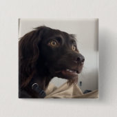 Schaltfläche für verwirrtes Dog Meme-Button Button (Vorderseite)