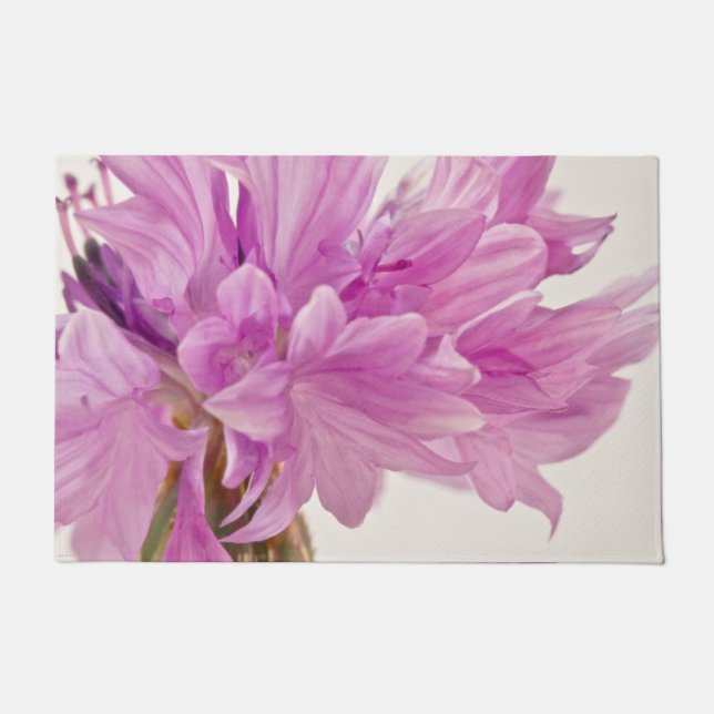 Schaltfläche Fußmatte (Vorderseite)