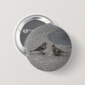 Schaltfläche "füttre Me Chaffinch" Button (Vorne & Hinten)