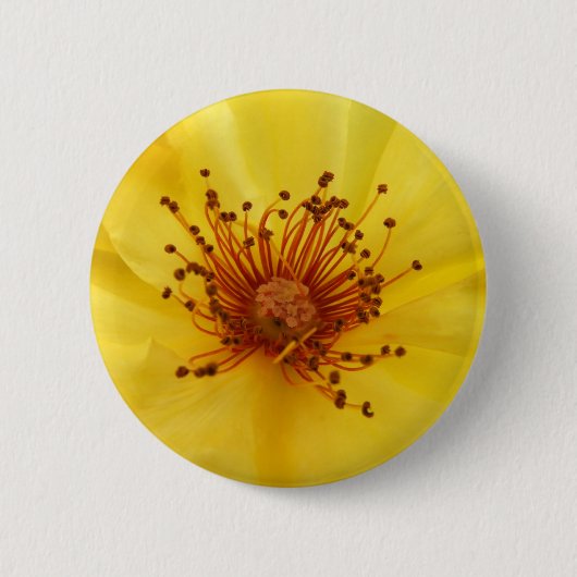 Schaltfläche Gelbe Rosenmitte Button (Vorderseite)