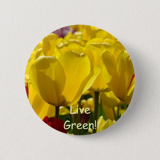 Schaltfläche Gelbe rote Tulip-Blume Button (Vorderseite)