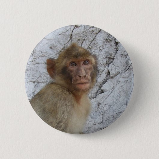 Schaltfläche Gibraltar-Monkey Button (Vorderseite)