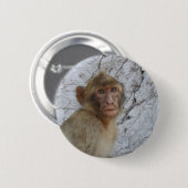 Schaltfläche Gibraltar-Monkey Button (Vorne & Hinten)