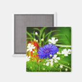 Schaltfläche Gipskraut und Bachelor Magnet (Vorderseite/Rückseite)