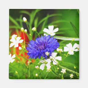 Schaltfläche Gipskraut und Bachelor Magnet