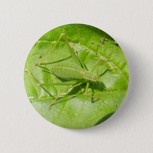 Schaltfläche "Green Cricket Camouflage" Button (Vorderseite)