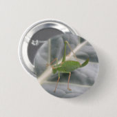 Schaltfläche "Green Cricket Macro" Button (Vorne & Hinten)