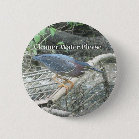 Schaltfläche "Green Heron Ecology" Button (Vorderseite)