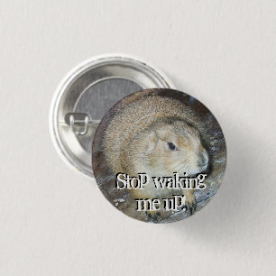 Schaltfläche "Groundhosting" Button