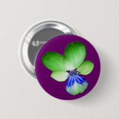 Schaltfläche Grün und Blau Button (Vorne & Hinten)