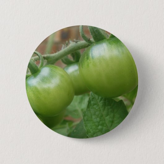 Schaltfläche Grüne Tomaten Button (Vorderseite)