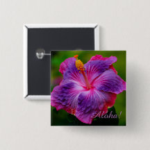 Schaltfläche Hibisken Blume