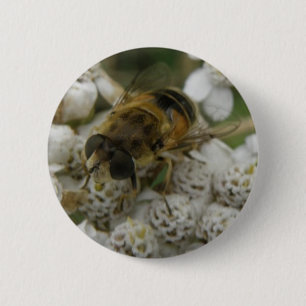 Schaltfläche Honigbienen und Blume Button