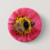 Schaltfläche Hummel Button (Vorderseite)