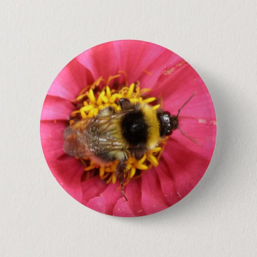 Schaltfläche Hummel Button (Vorderseite)