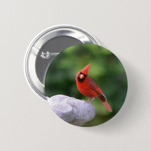 Schaltfläche Kardinal Button (Vorne & Hinten)