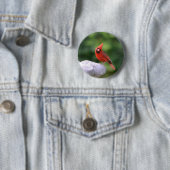 Schaltfläche Kardinal Button (Beispiel)