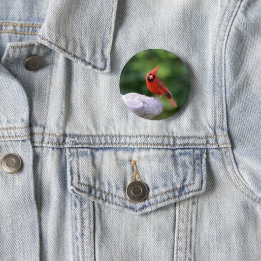 Schaltfläche Kardinal Button (Beispiel)