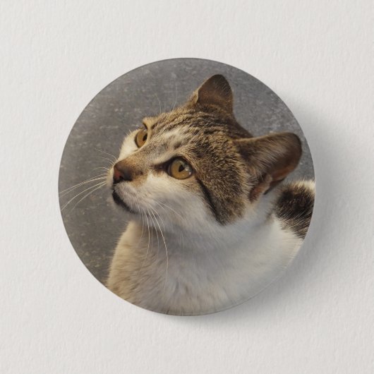 Schaltfläche "Katze" Button (Vorderseite)