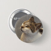 Schaltfläche "Katze" Button (Vorne & Hinten)