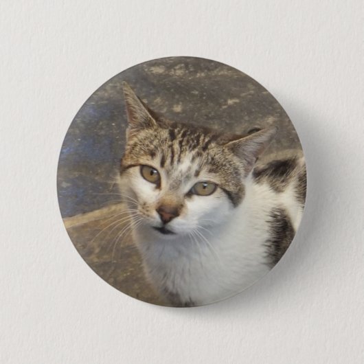 Schaltfläche "Katze" Button (Vorderseite)