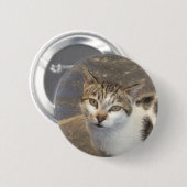 Schaltfläche "Katze" Button (Vorne & Hinten)