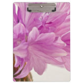 Schaltfläche Klemmbrett (Vorderseite)