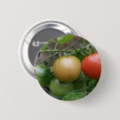 Schaltfläche "Leichtkartoffeln" Button (Vorne & Hinten)