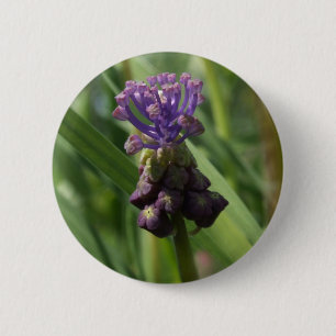 Schaltfläche "lila Blume" Button