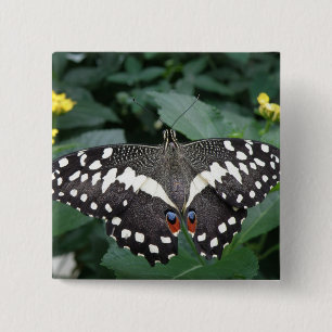 Schaltfläche "Limoner Schmetterling und Blume" Button