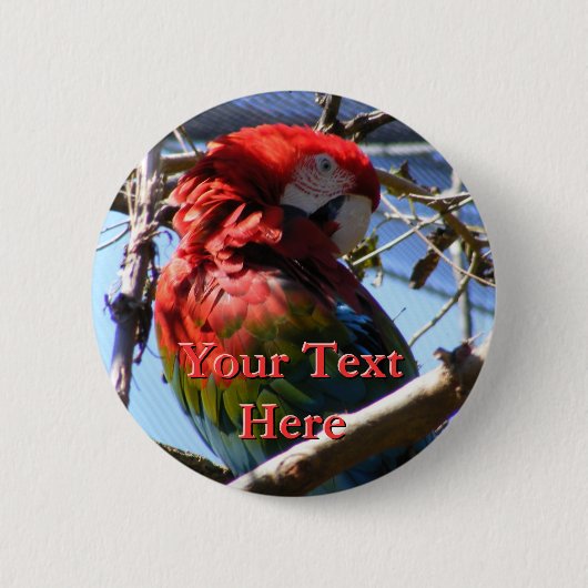 Schaltfläche Macaw Button (Vorderseite)